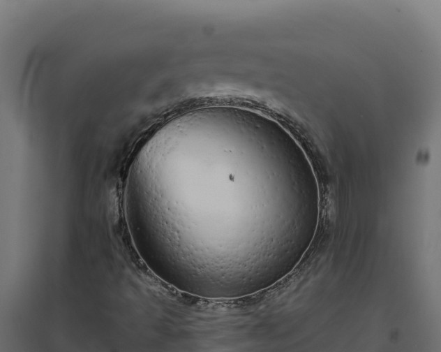 X0000094771493200711241305