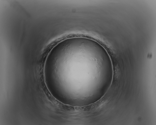 X0000094771494200711241305