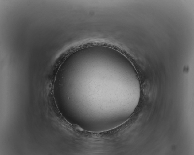 X0000094771495200711241305