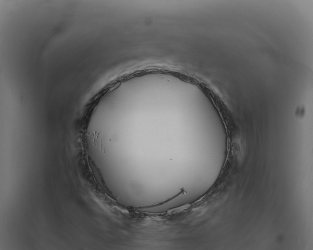 X0000094771496200711241305