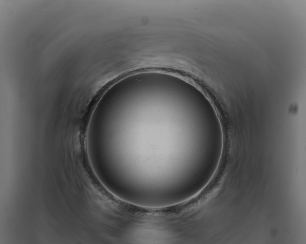 X0000094771497200711241305