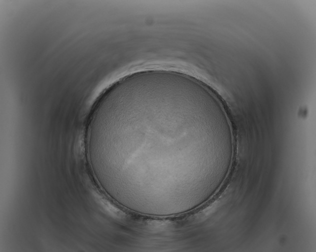 X0000094771498200711241305