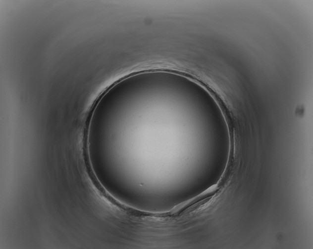 X0000094771500200711241305