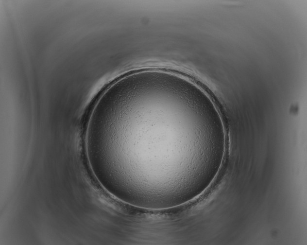 X0000094771501200711241305