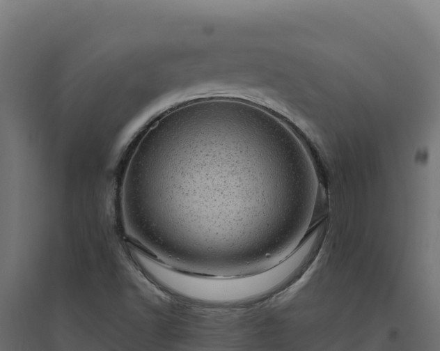 X0000094771502200711241305