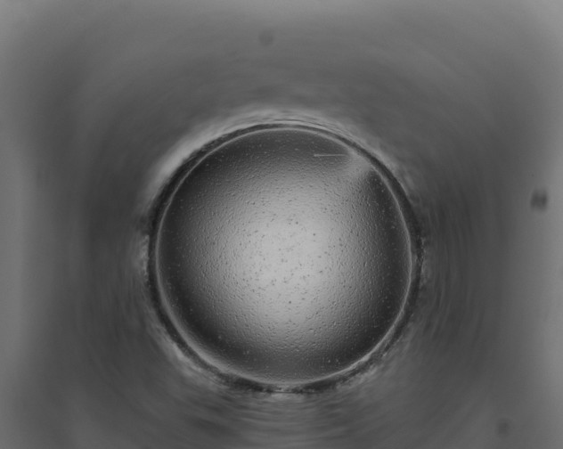 X0000094771503200711241305