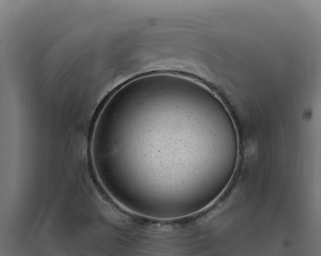 X0000094771505200711241305