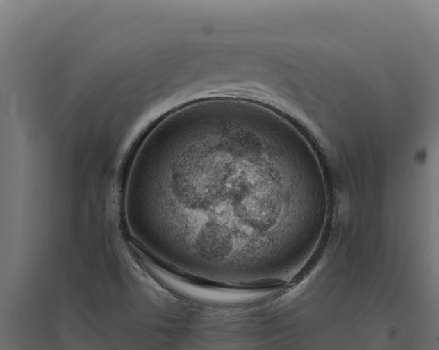 X0000094771506200711241305