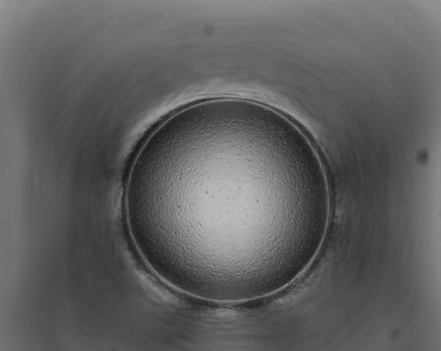 X0000094771507200711241305