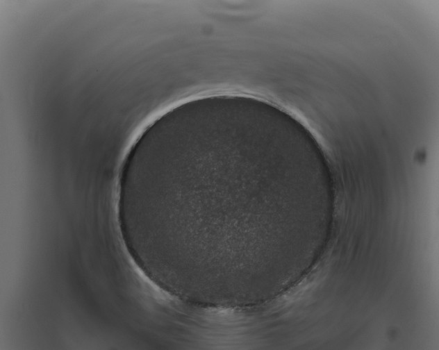 X0000094771508200711241305