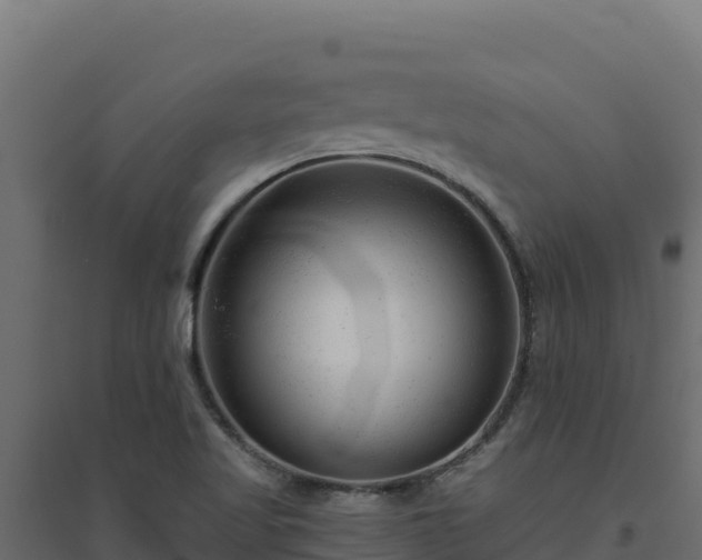 X0000094771509200711241305