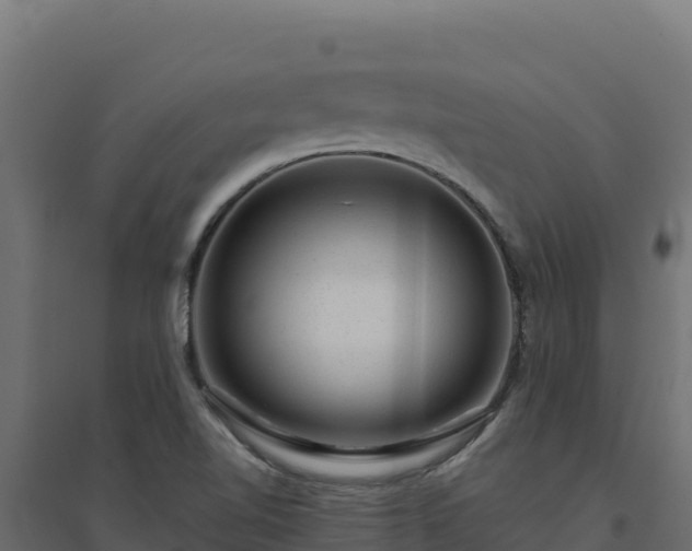 X0000094771510200711241305