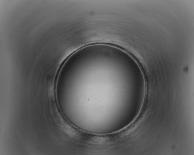 X0000094771513200711241305