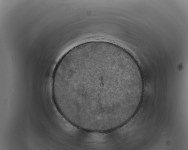 X0000094771514200711241305