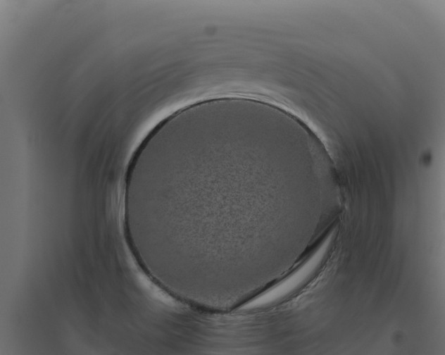 X0000094771515200711241305