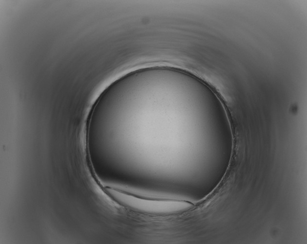 X0000094771516200711241305