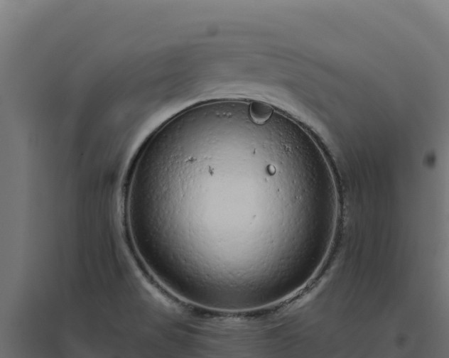 X0000094771517200711241305