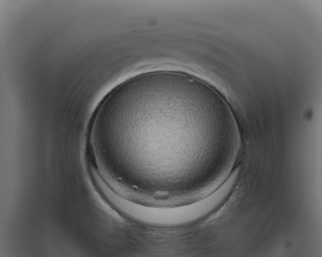 X0000094771518200711241305