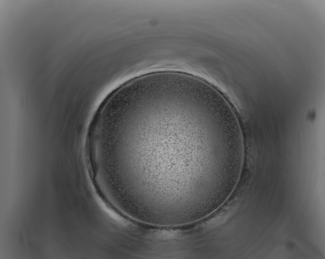 X0000094771519200711241305