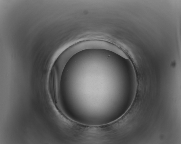 X0000094771520200711241305