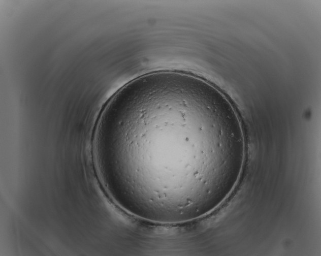 X0000094771521200711241305