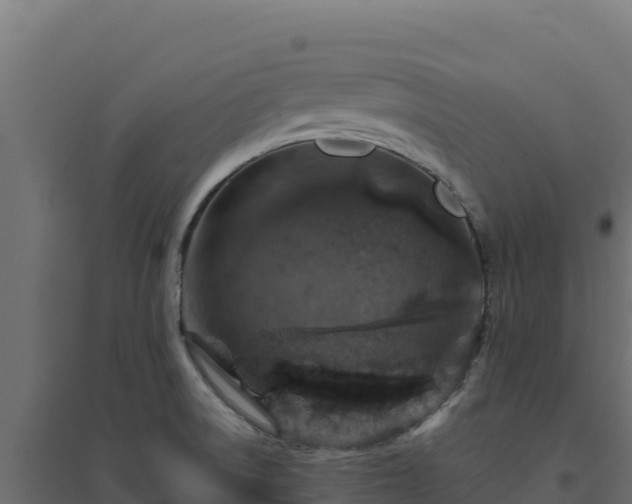 X0000094771522200711241305