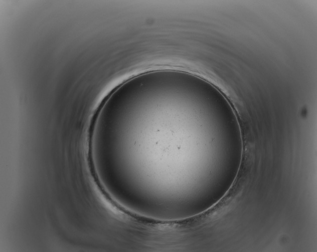 X0000094771523200711241305