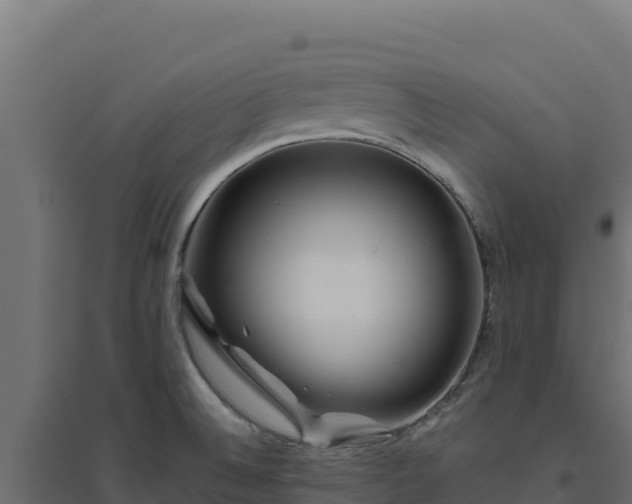 X0000094771524200711241305