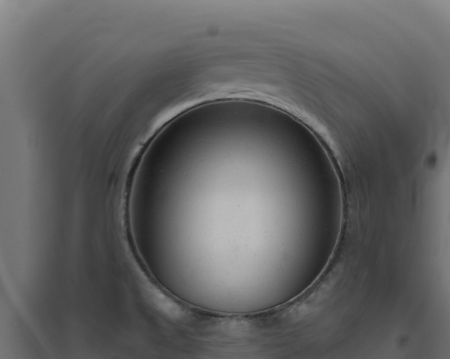 X0000094771525200711241305