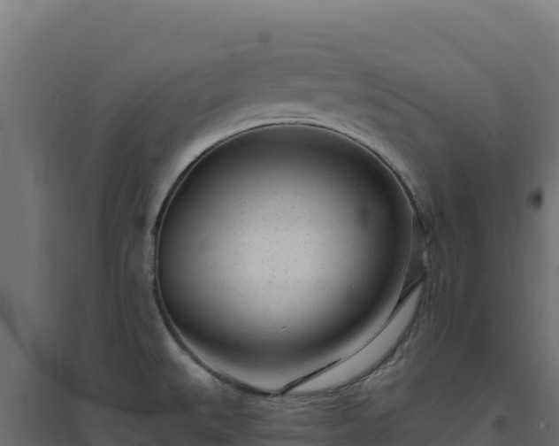 X0000094771527200711241305