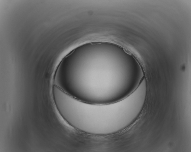 X0000094771528200711241305