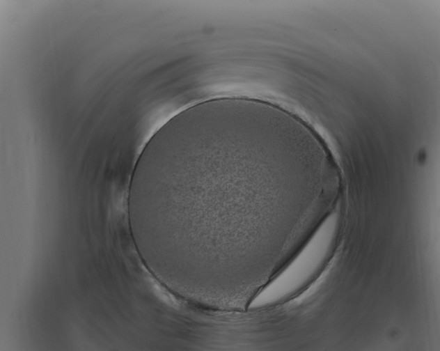 X0000094771529200711241305