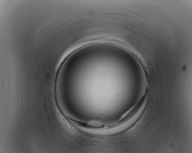 X0000094771530200711241305