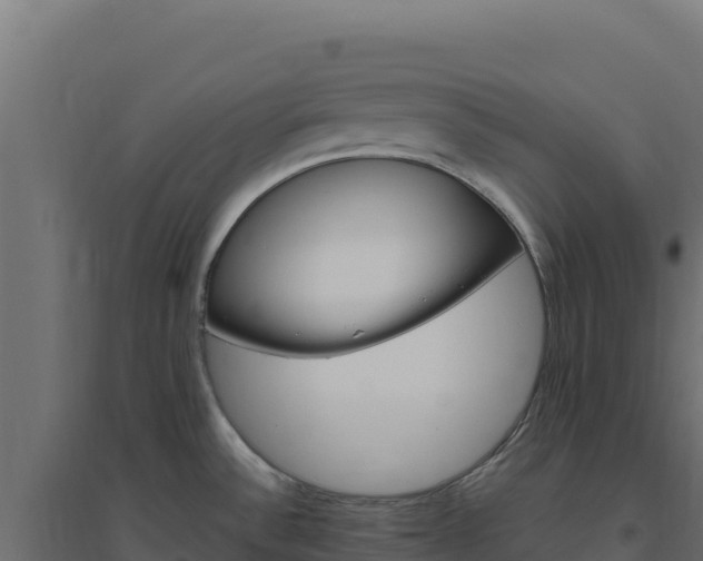 X0000094771532200711241305