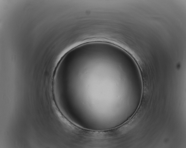 X0000094771534200711241306