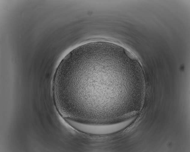 X0000094771535200711241306