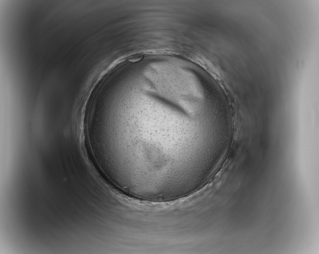 X0000094770002200711301535