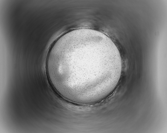 X0000094770004200711301535