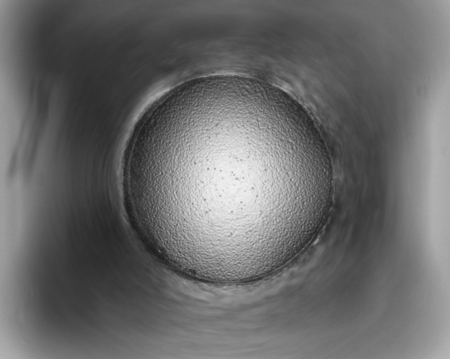 X0000094770006200711301535