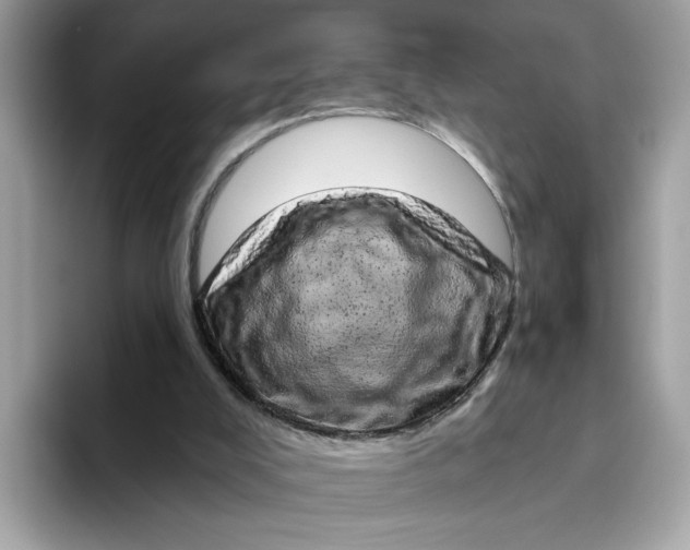 X0000094770008200711301535