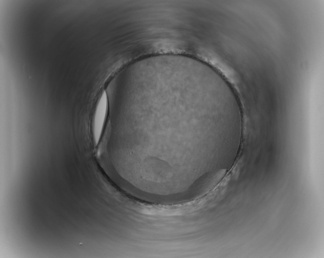 X0000094770009200711301535