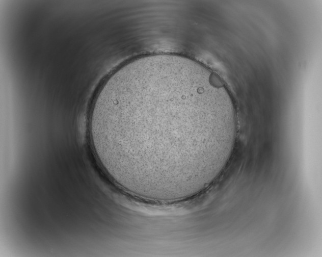 X0000094770012200711301535