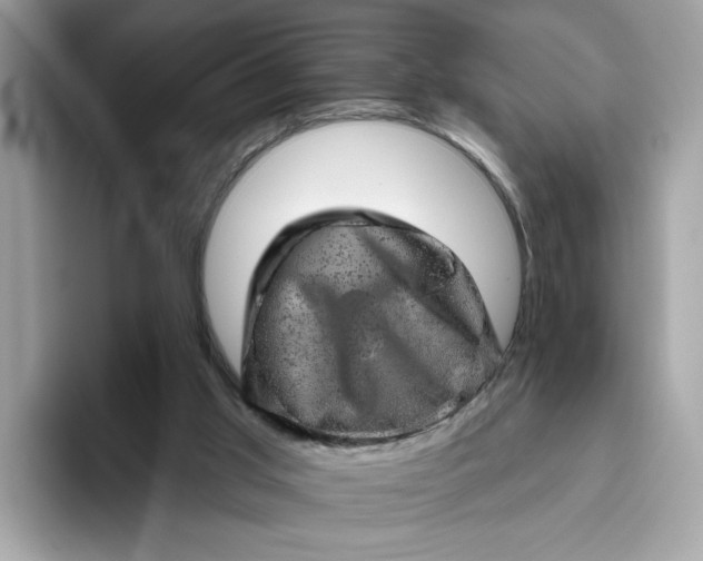 X0000094770013200711301535