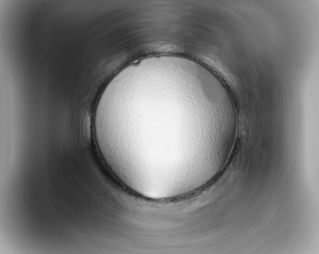 X0000094770014200711301535