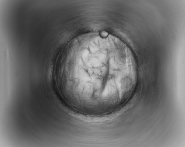 X0000094770018200711301535