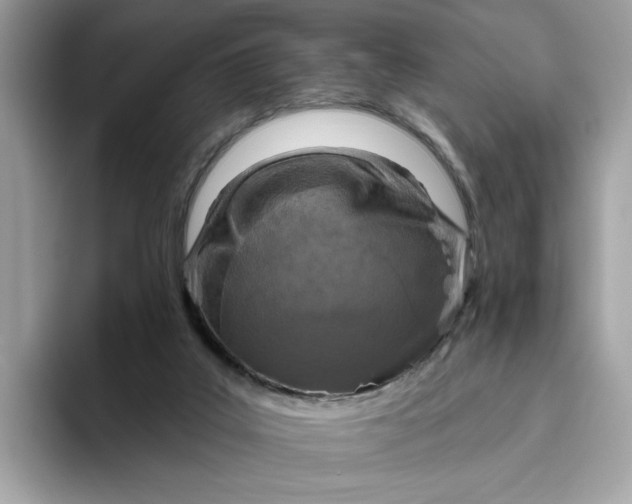 X0000094770019200711301535