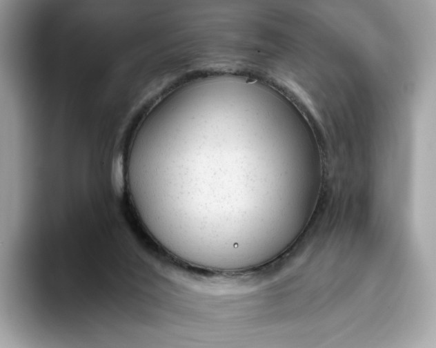 X0000094770020200711301535