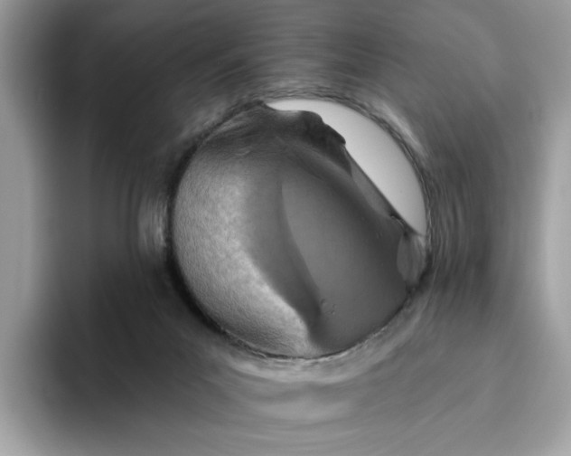 X0000094770023200711301535