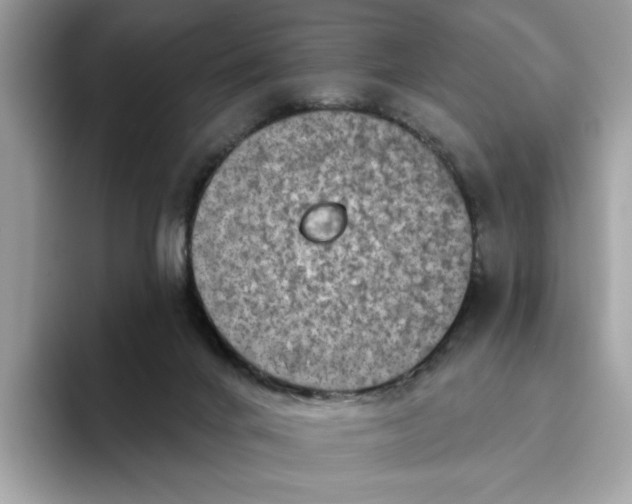 X0000094770024200711301535