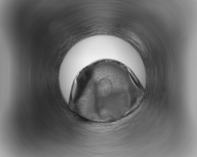 X0000094770029200711301535